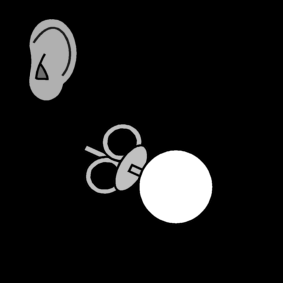 earring